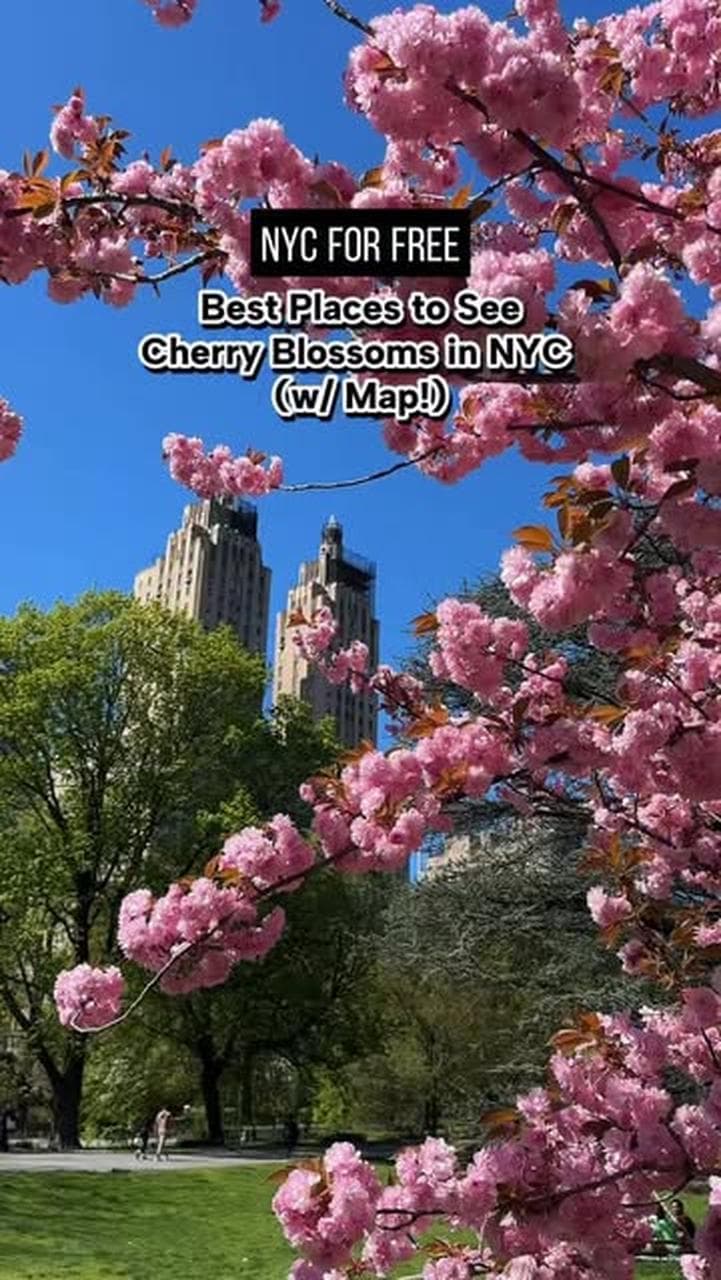 Free Things to Do in New York City