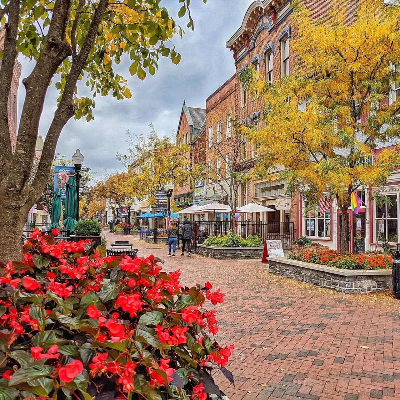 Washington DC Area Fall Foliage Guide