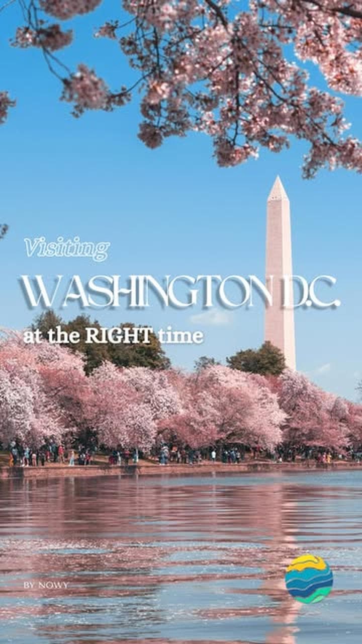 Washington D.C. Crowd-Free Attractions Guide